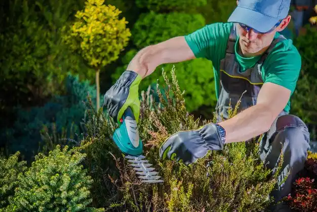 landscaping services Rosendale Hamlet